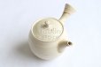 Photo1: Tokoname Japanese tea pot kyusu ceramic strainer Kenji shin nerikomi 360ml (1)