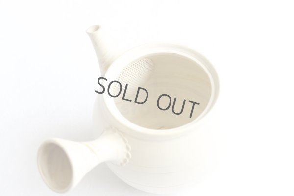 Photo5: Tokoname Japanese tea pot kyusu ceramic strainer Kenji shin nerikomi 360ml