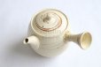 Photo10: Tokoname Japanese tea pot kyusu ceramic strainer Kenji nerikomi bi carved 360ml