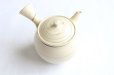 Photo5: Tokoname Japanese tea pot kyusu ceramic strainer Kenji shin nerikomi ren 360ml