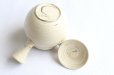 Photo2: Tokoname Japanese tea pot kyusu ceramic strainer Kenji shin nerikomi ren 360ml (2)