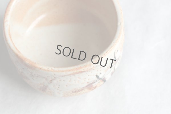 Photo8: Kutani porcelain Japanese Matcha chawan tea bowl plum flower kohaku