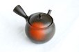 Photo1: Tokoname Japanese tea pot kyusu YT black yohen Shoryu 390ml (1)