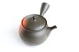 Photo10: Tokoname Japanese tea pot kyusu YT black yohen Shoryu 390ml