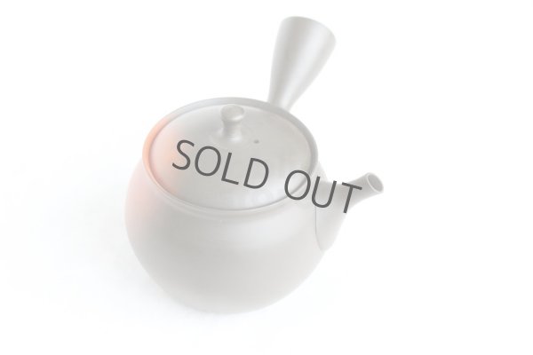 Photo10: Tokoname Japanese tea pot kyusu YT black yohen Shoryu 390ml