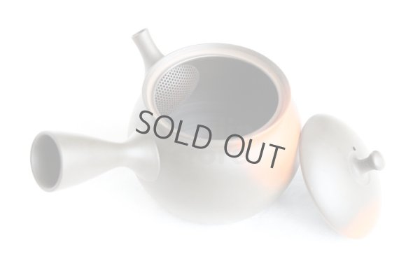 Photo8: Tokoname Japanese tea pot kyusu YT black yohen Shoryu 390ml