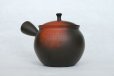 Photo4: Tokoname Japanese tea pot kyusu YT black yohen Shoryu 390ml