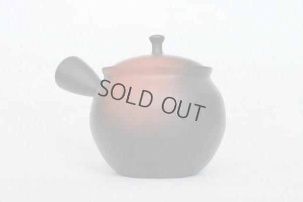 Photo4: Tokoname Japanese tea pot kyusu YT black yohen Shoryu 390ml