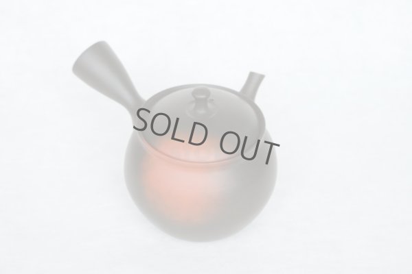 Photo3: Tokoname Japanese tea pot kyusu YT black yohen Shoryu 390ml