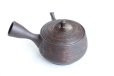 Photo10: Tokoname YT Japanese tea pot kyusu Gyokko pottery tea strainer hidasuki 150ml