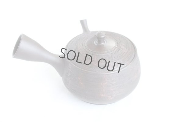Photo10: Tokoname YT Japanese tea pot kyusu Gyokko pottery tea strainer hidasuki 150ml