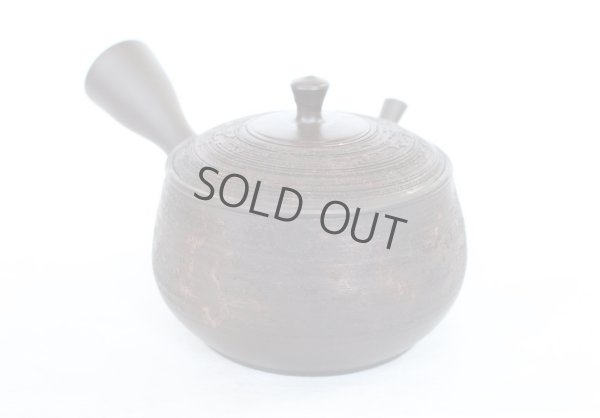 Photo1: Tokoname YT Japanese tea pot kyusu Gyokko pottery tea strainer hidasuki 150ml