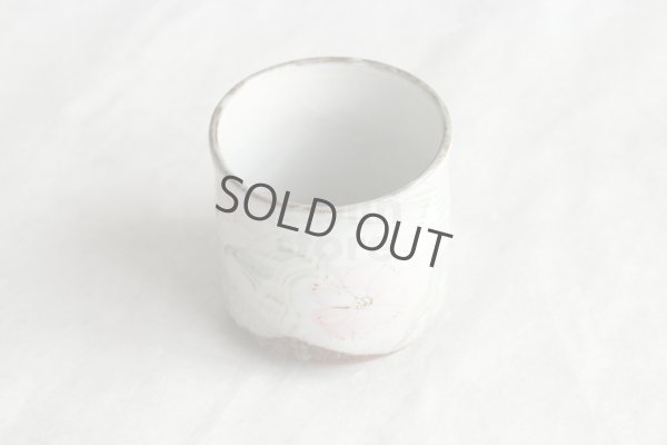 Photo13: Kutani Porcelain yunomi tea cup pottery tumbler cosumosu 380ml