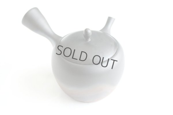 Photo10: Tokoname Japanese tea pot kyusu Gyokko pottery tea strainer komaru yohen 280ml