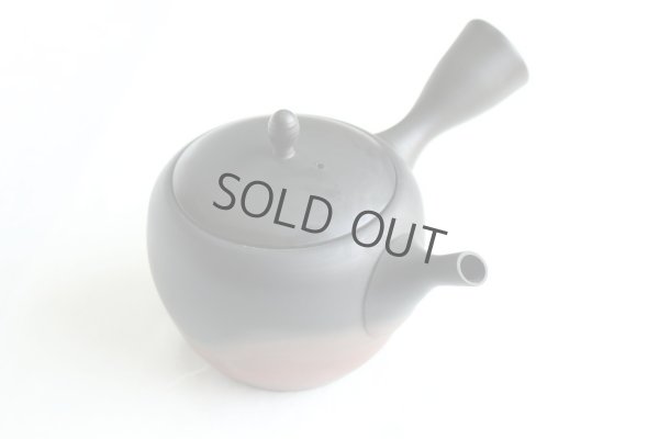 Photo9: Tokoname Japanese tea pot kyusu Gyokko pottery tea strainer komaru yohen 280ml