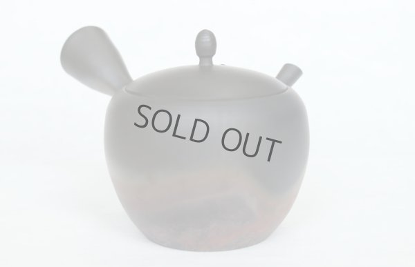 Photo5: Tokoname Japanese tea pot kyusu Gyokko pottery tea strainer komaru yohen 280ml