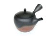 Photo4: Tokoname Japanese tea pot kyusu Gyokko pottery tea strainer komaru yohen 280ml