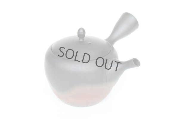 Photo4: Tokoname Japanese tea pot kyusu Gyokko pottery tea strainer komaru yohen 280ml