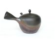Photo2: Tokoname Japanese tea pot kyusu Gyokko pottery tea strainer komaru yohen 280ml (2)
