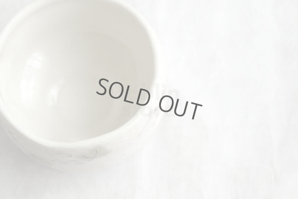 Photo3: Mino ware Japanese pottery tea ceremony bowl Matcha chawan Grapes leaf noten