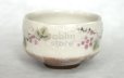 Photo6: Mino ware Japanese pottery tea ceremony bowl Matcha chawan Grapes leaf noten