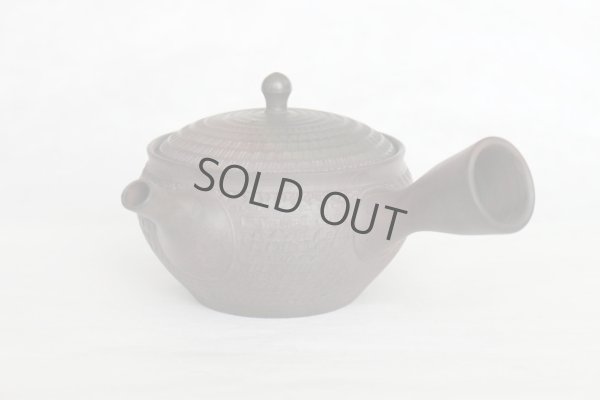 Photo10: Tokoname Japanese tea pot kyusu Gyokko pottery tea strainer youhen biri hi 250ml