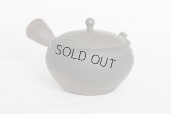 Photo6: Tokoname Japanese tea pot kyusu Gyokko pottery tea strainer youhen biri hi 250ml