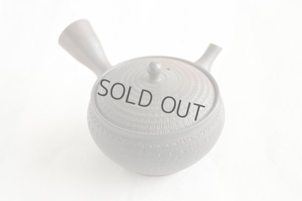 Photo8: Tokoname Japanese tea pot kyusu Gyokko pottery tea strainer youhen biri hi 250ml