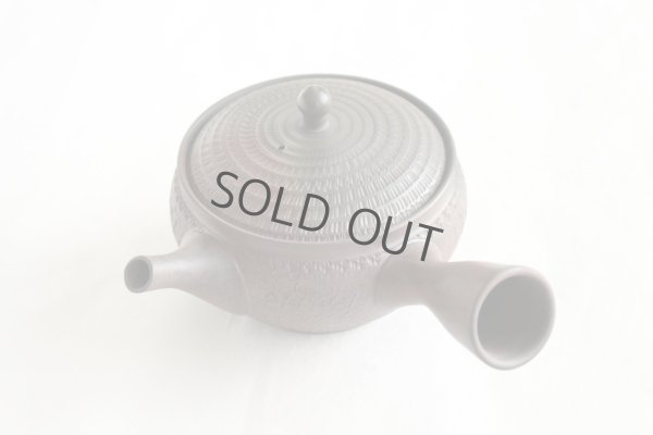 Photo9: Tokoname Japanese tea pot kyusu Gyokko pottery tea strainer youhen biri hi 250ml