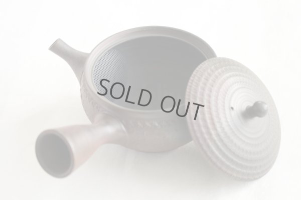 Photo5: Tokoname Japanese tea pot kyusu Gyokko pottery tea strainer youhen biri hi 250ml