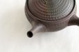 Photo2: Tokoname Japanese tea pot kyusu Gyokko pottery tea strainer youhen biri hi 250ml (2)