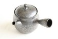 Photo12: Tokoname ware Japanese tea pot kyusu ceramic strainer YT Shoryu tenmoku 270ml