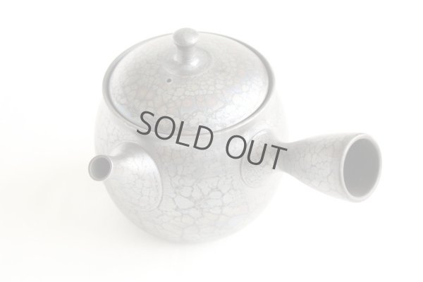 Photo12: Tokoname ware Japanese tea pot kyusu ceramic strainer YT Shoryu tenmoku 270ml