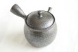 Photo11: Tokoname ware Japanese tea pot kyusu ceramic strainer YT Shoryu tenmoku 270ml (11)