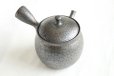 Photo11: Tokoname ware Japanese tea pot kyusu ceramic strainer YT Shoryu tenmoku 270ml