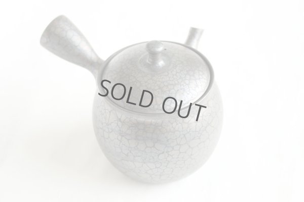 Photo11: Tokoname ware Japanese tea pot kyusu ceramic strainer YT Shoryu tenmoku 270ml