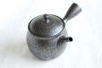 Photo10: Tokoname ware Japanese tea pot kyusu ceramic strainer YT Shoryu tenmoku 270ml