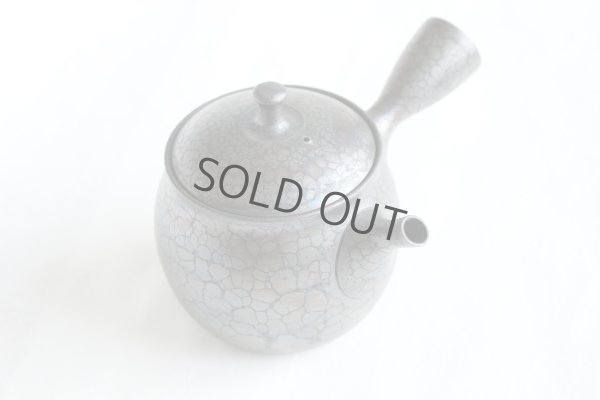 Photo10: Tokoname ware Japanese tea pot kyusu ceramic strainer YT Shoryu tenmoku 270ml