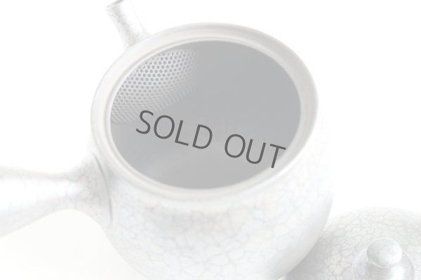 Photo5: Tokoname ware Japanese tea pot kyusu ceramic strainer YT Shoryu tenmoku 270ml
