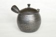 Photo4: Tokoname ware Japanese tea pot kyusu ceramic strainer YT Shoryu tenmoku 270ml