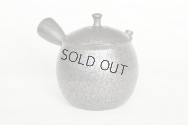 Photo4: Tokoname ware Japanese tea pot kyusu ceramic strainer YT Shoryu tenmoku 270ml