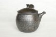 Photo3: Tokoname ware Japanese tea pot kyusu ceramic strainer YT Shoryu tenmoku 270ml