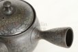 Photo2: Tokoname ware Japanese tea pot kyusu ceramic strainer YT Shoryu tenmoku 270ml (2)