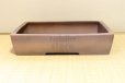 Photo2: Tokoname Bonsai pot garden tree Japanese pottery Izumiya Ibushi kiritate (2)