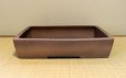 Photo1: Tokoname Bonsai pot garden tree Japanese pottery Izumiya Ibushi kiritate (1)