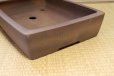 Photo6: Tokoname Bonsai pot garden tree Japanese pottery Izumiya Ibushi kiritate