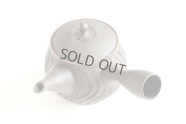 Photo8: Tokoname ware Japanese tea pot kyusu ceramic strainer YT Sekiryu notanaga 300ml