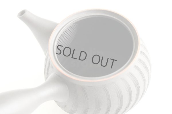 Photo6: Tokoname ware Japanese tea pot kyusu ceramic strainer YT Sekiryu notanaga 300ml