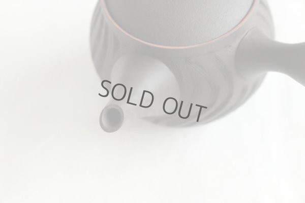 Photo4: Tokoname ware Japanese tea pot kyusu ceramic strainer YT Sekiryu notanaga 300ml