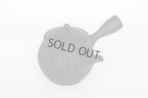 Photo9: Tokoname ware Japanese tea pot kyusu ceramic strainer YT Sekiryu notanaga 300ml